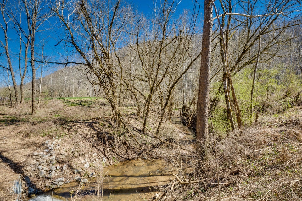 Photo #38: 4849 Anglers Way Road
