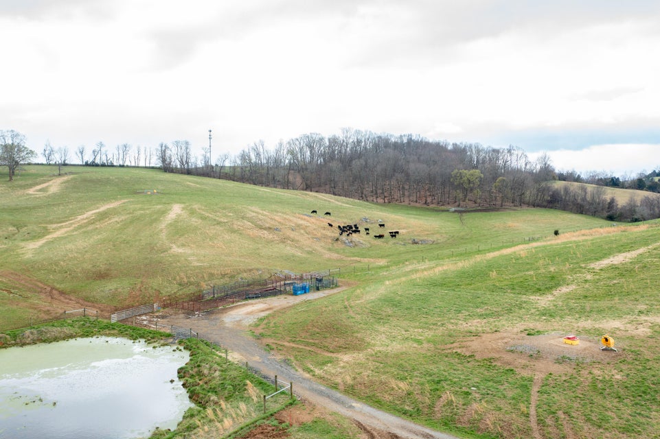 Photo #36: 720 Lowell Jones Road