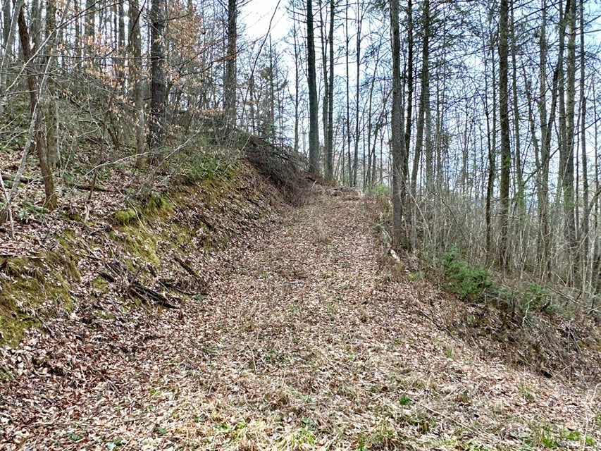 Photo #2: Lot No. 13 Clydesdale Way
