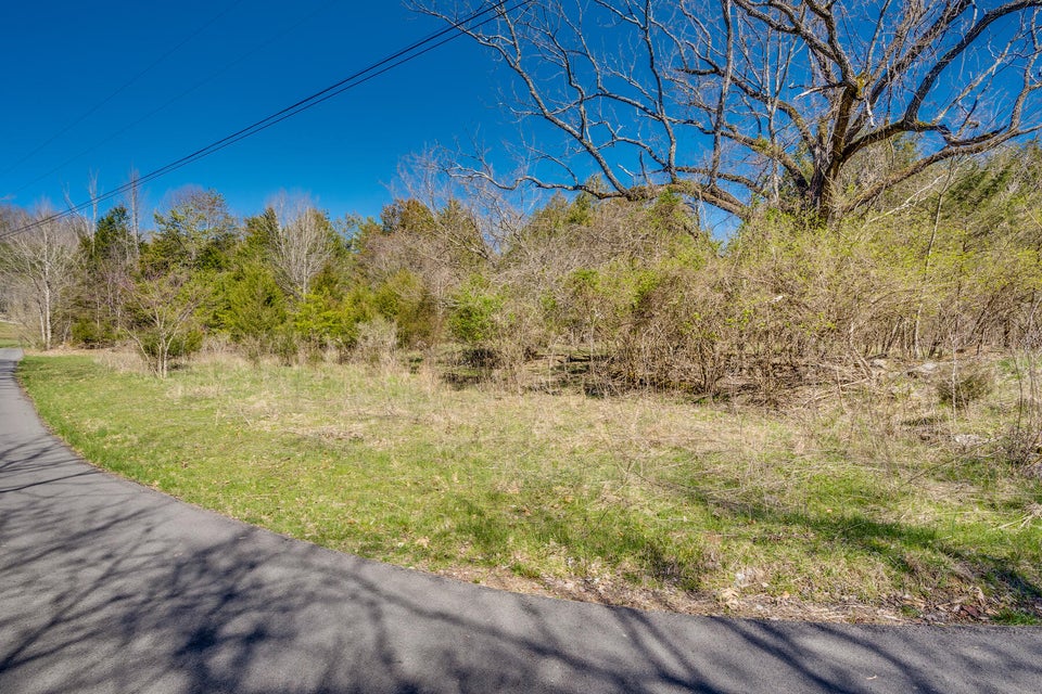Photo #2: Tbd Austin Springs Road