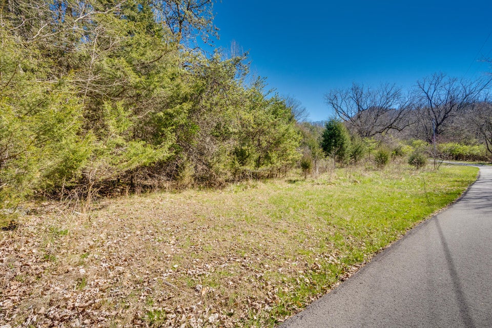 Photo #5: Tbd Austin Springs Road