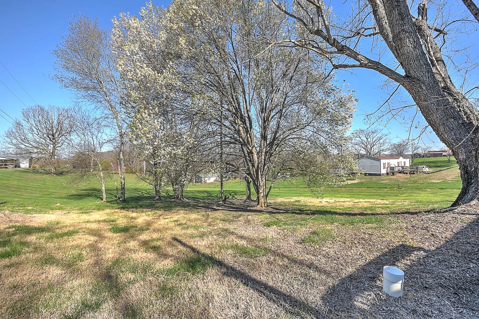 Photo #34: 3800 Allens Bridge Road