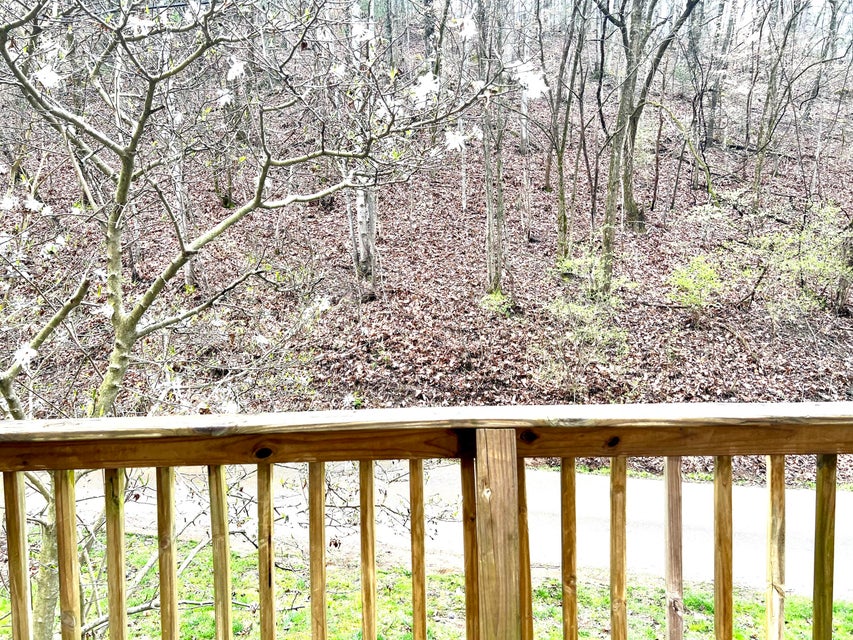 Photo #33: 289 Holston Mountain Road