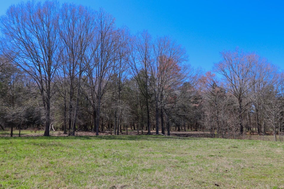 Photo #20: 2511 Highway 25-70