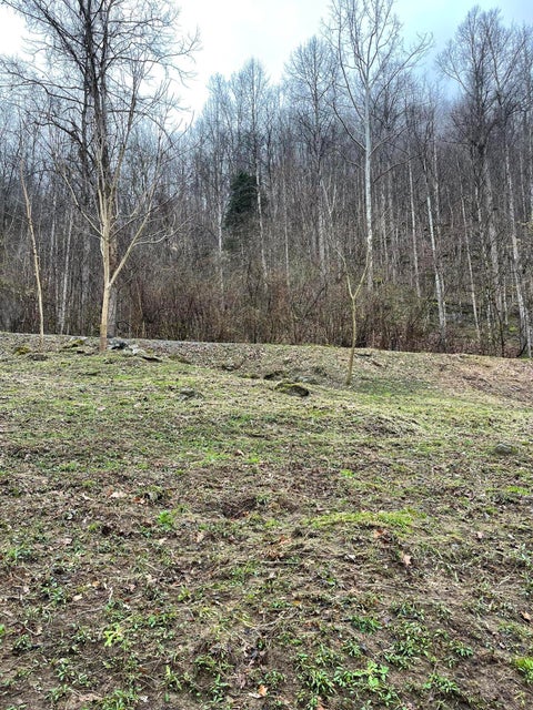 Photo #8: Tbd Waters Edge Rd