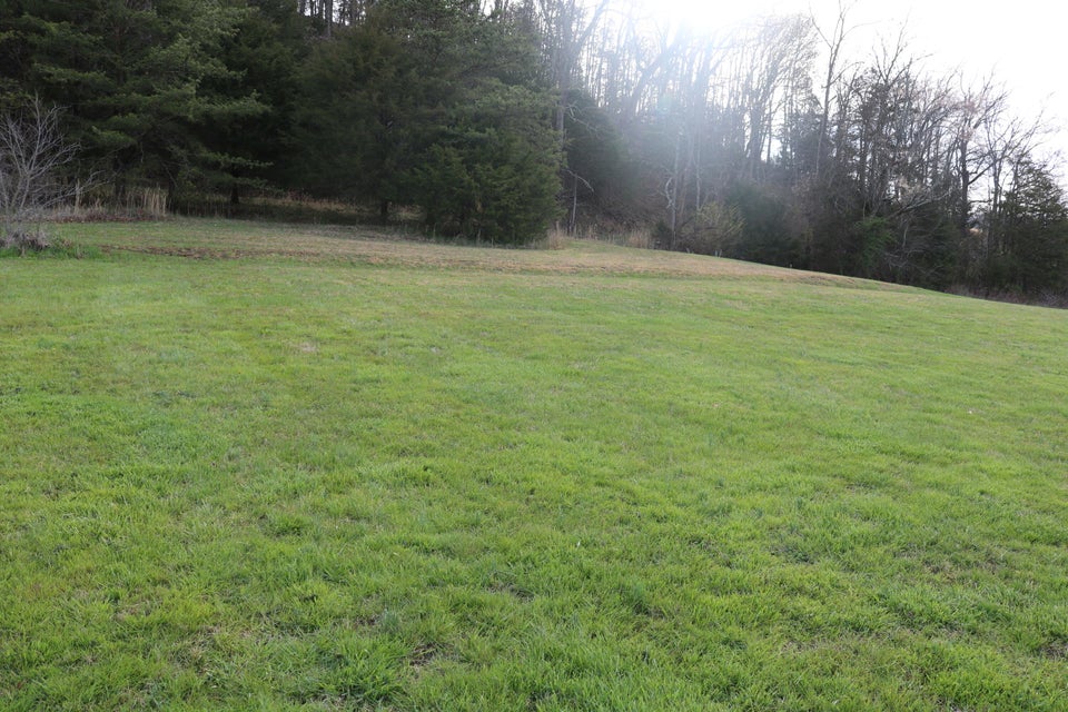 Photo #36: 3405 Little Chuckey Road