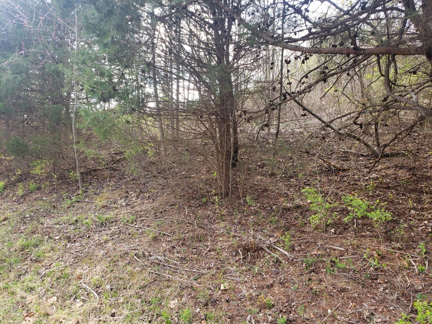 Photo #12: 394 Wilcox Circle