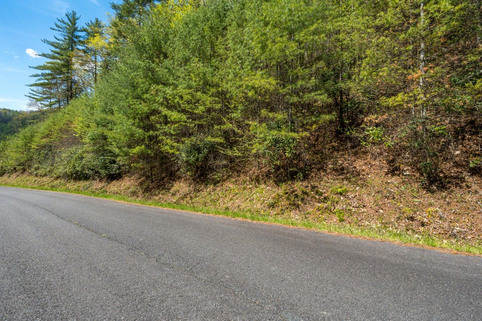 Photo #4: Lot 9 Callalantee Drive