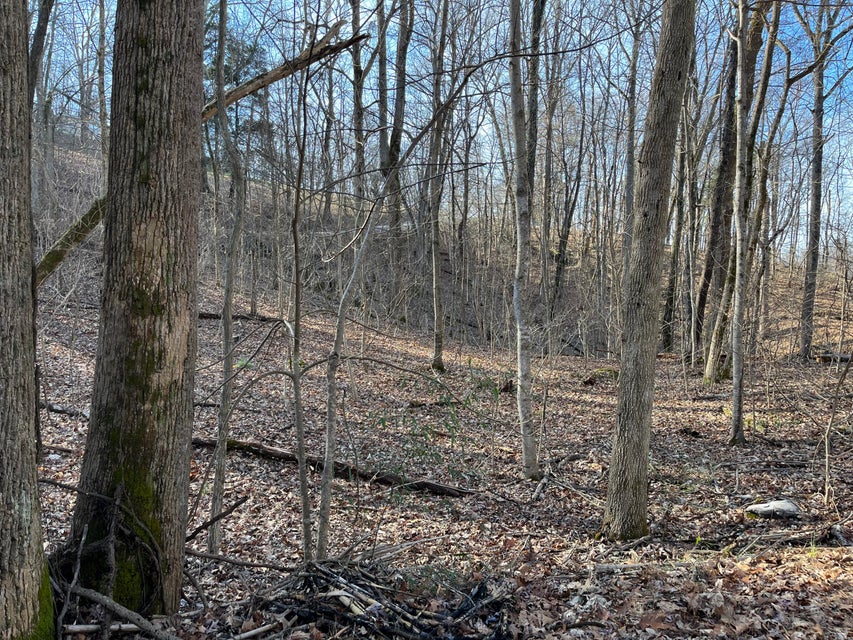 Photo #2: Tbd Lakeside Drive