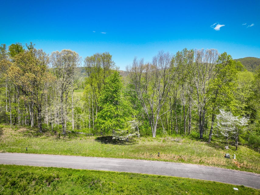 Photo #2: Lot 41 W Of Dry Hill Road