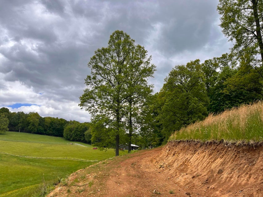 Photo #6: Tbd Toll Branch Rd