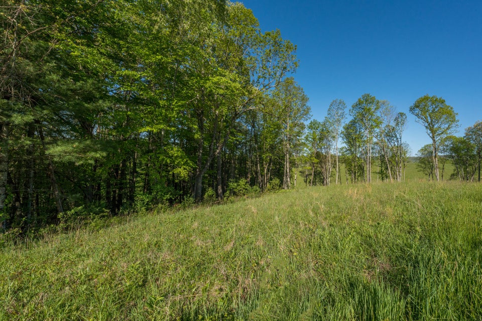 Photo #36: Lot 1 Of Dry Hill Road