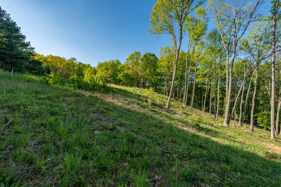 Photo #20: Lot 2 Of Dry Hill Road