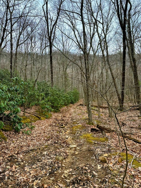 Photo #20: 1900 Old Mountain Road
