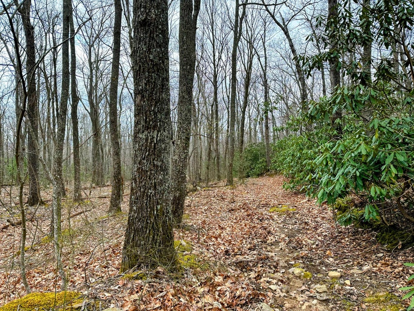 Photo #24: 1900 Old Mountain Road
