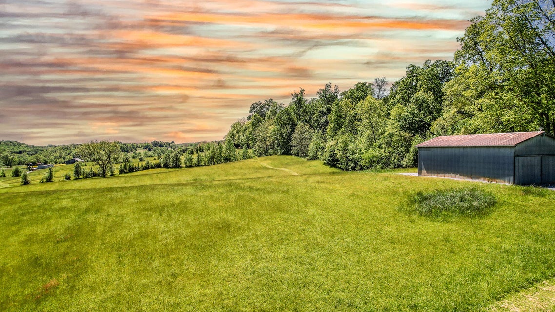 Photo #14: Tract 5 Holly Creek Road