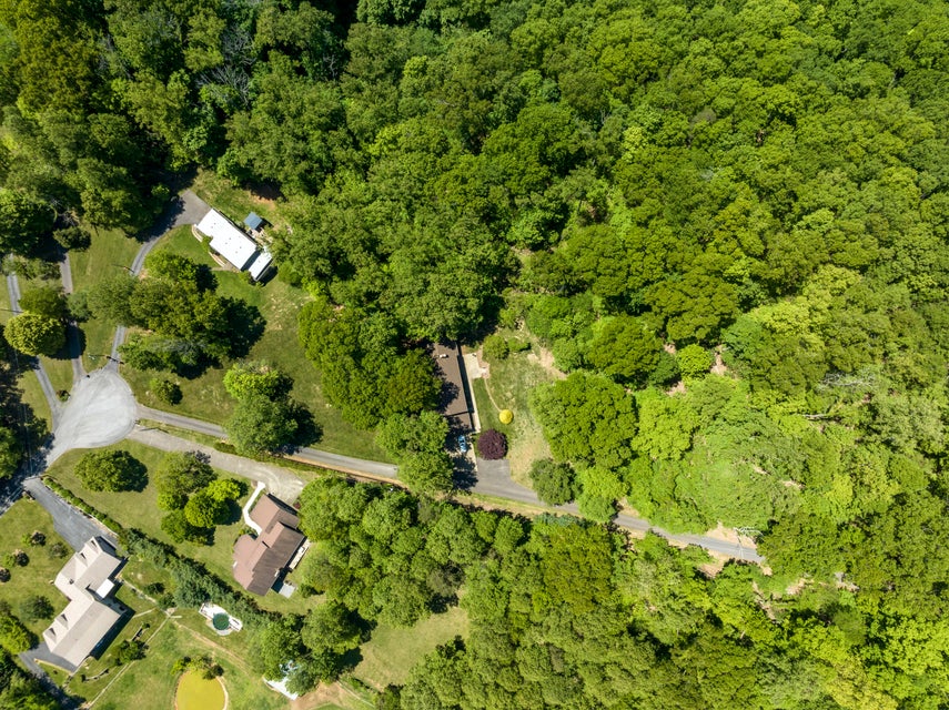Photo #5: 618 Wessex Drive
