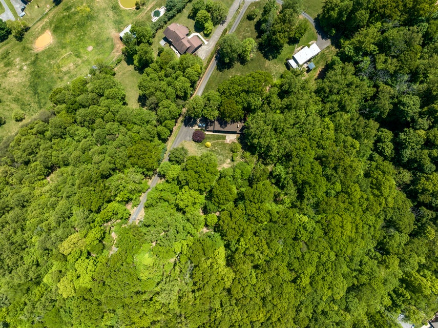Photo #11: 618 Wessex Drive