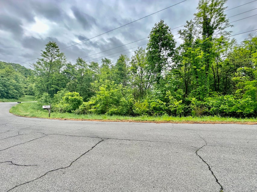Photo #4: Tbd Kincaid Street