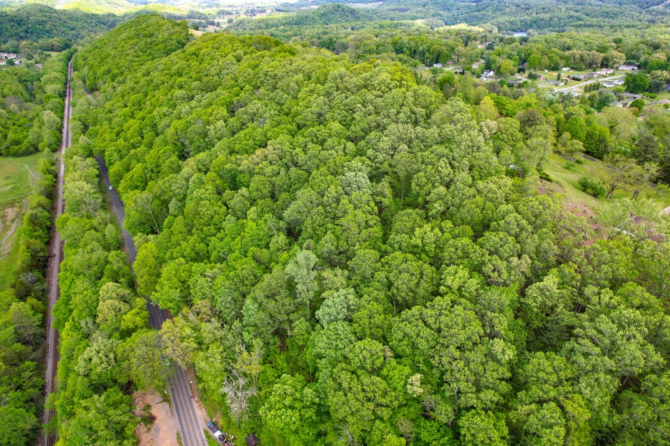 Photo #4: Tbd Hemlock Road