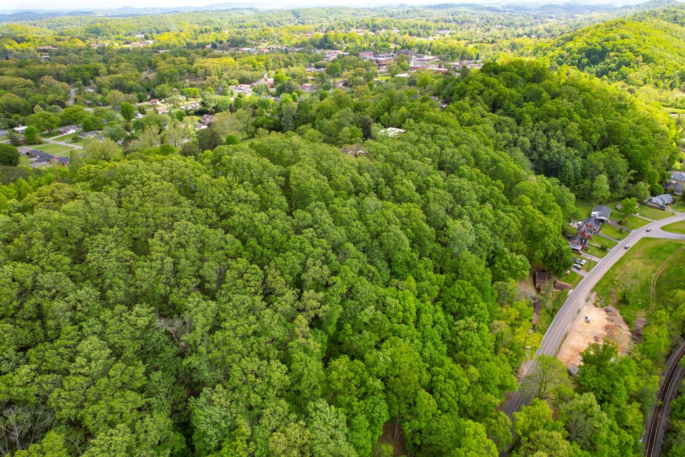 Photo #11: Tbd Hemlock Road