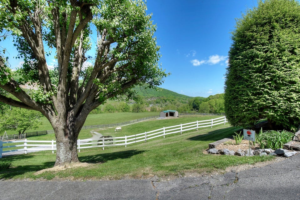 Photo #74: 310 Meadowview Lane 