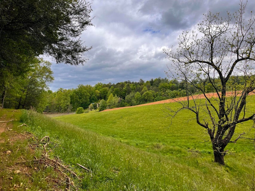 Photo #8: Tbd Toll Branch Rd