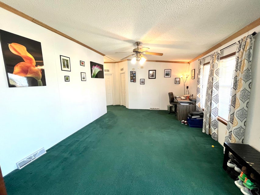 Photo #13: 6407 Yellow Poplar Street