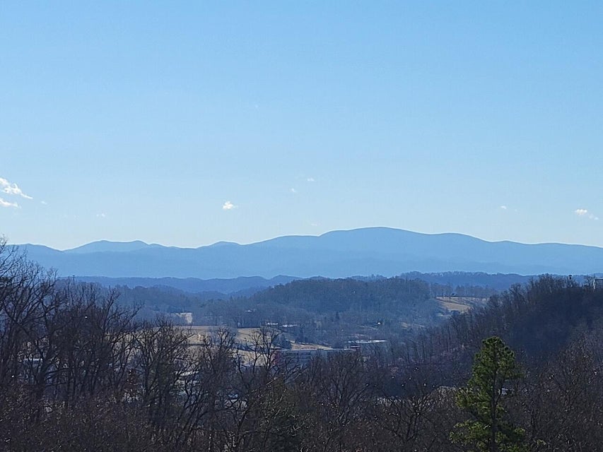 Photo #9: 270 Old Carden Hollow Road