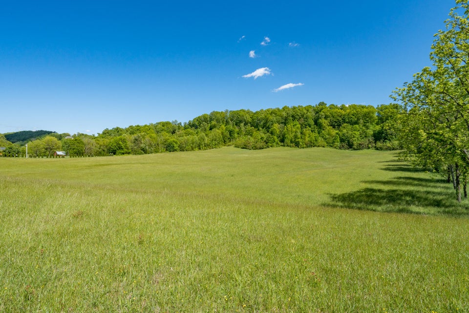 Photo #26: Tbd Carroll Creek Road