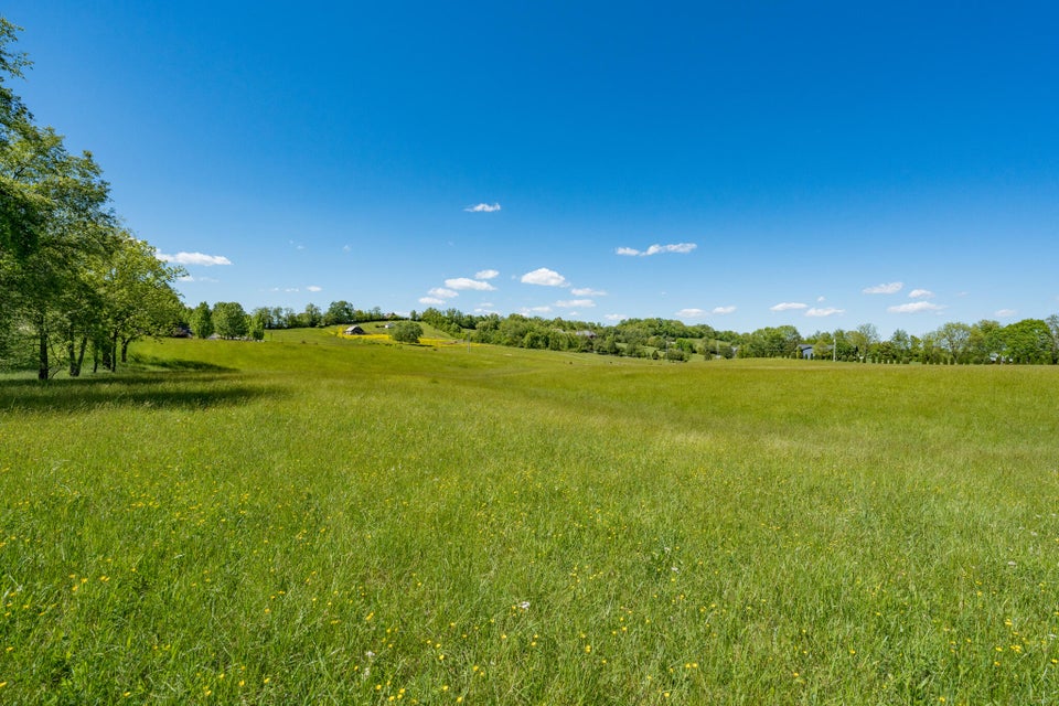 Photo #31: Tbd Carroll Creek Road