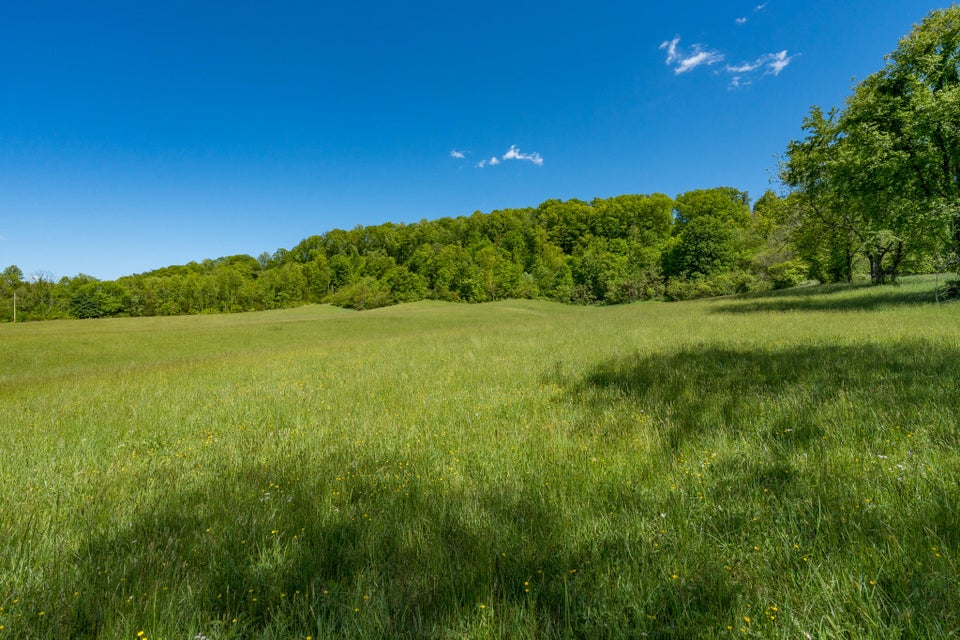 Photo #32: Tbd Carroll Creek Road