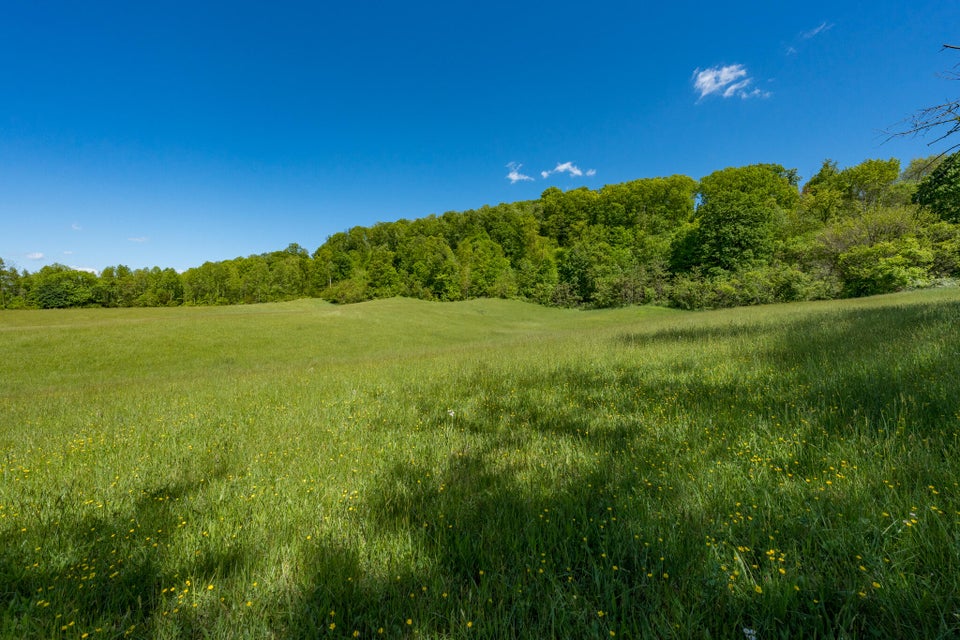 Photo #33: Tbd Carroll Creek Road