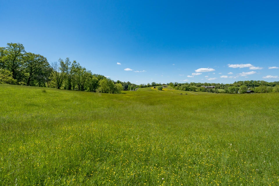 Photo #38: Tbd Carroll Creek Road