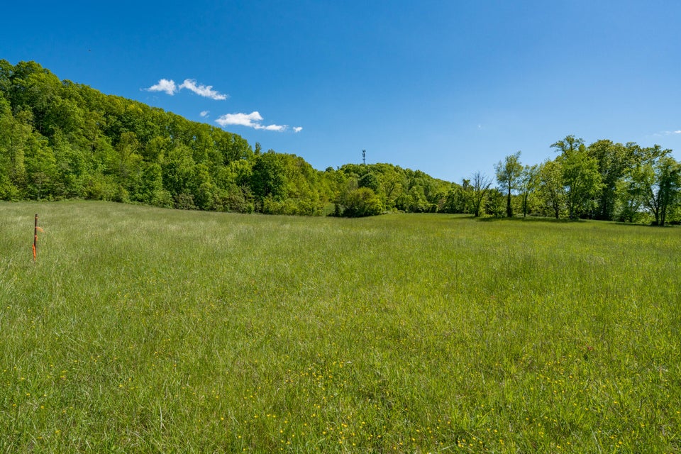 Photo #45: Tbd Carroll Creek Road