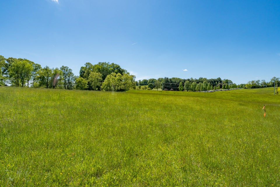 Photo #46: Tbd Carroll Creek Road