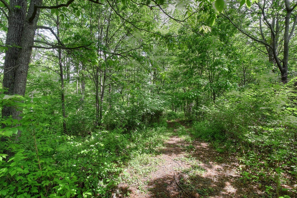 Photo #60: 1130 Old Stage Road