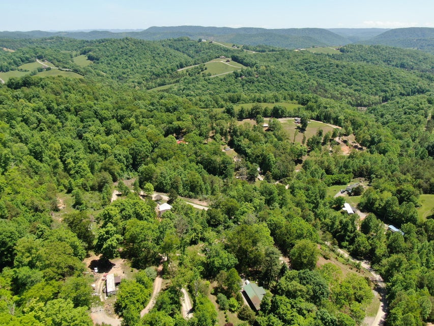Photo #6: 20.8 Acres Molly Hollow Road