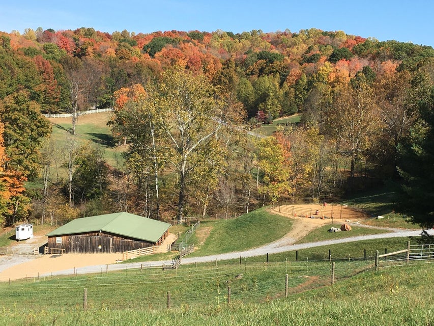 Photo #48: 310 Meadowview Lane 