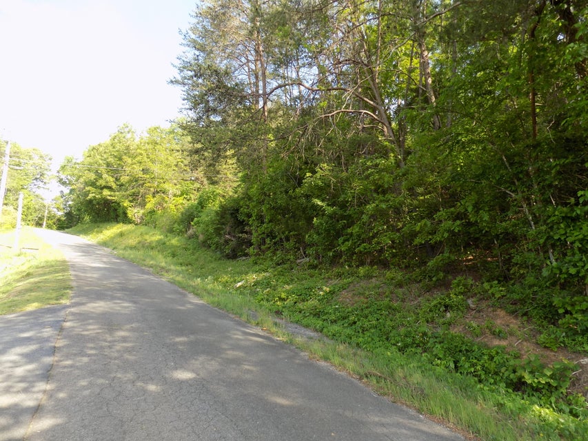 Photo #2: Lot 11 Arrington Rd.
