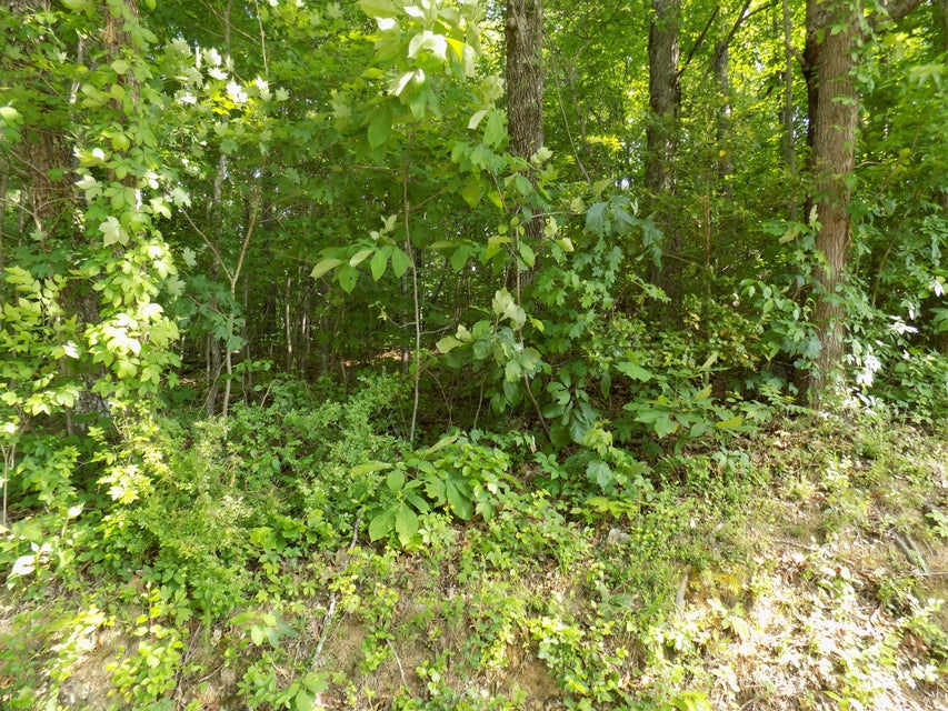 Photo #3: Lot 32 Grandview Estates
