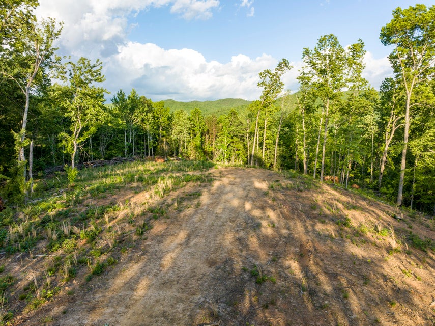 Photo #5: 200 Tester Road