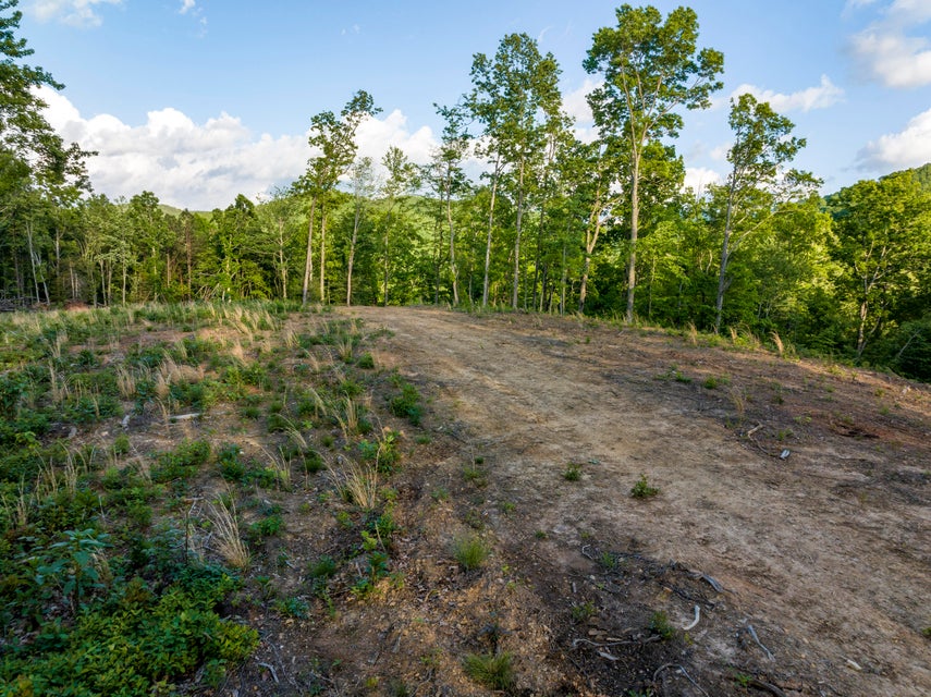 Photo #34: 200 Tester Road