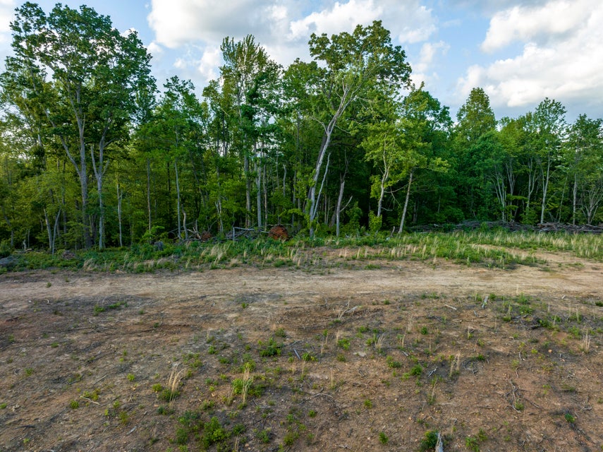 Photo #6: 200 Tester Road
