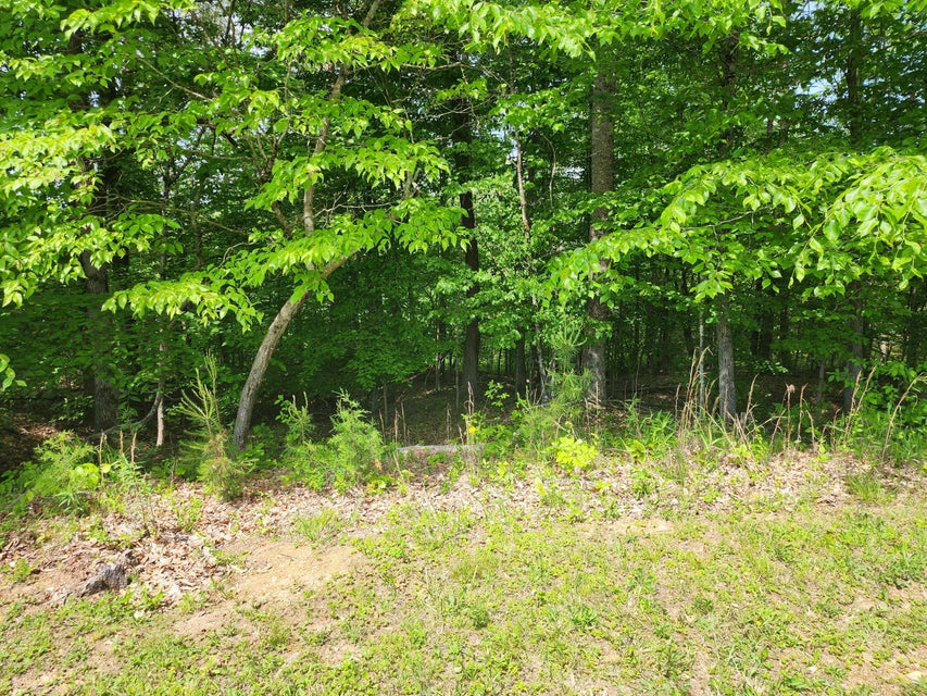 Photo #3: 2011 Scenic Pointe Place