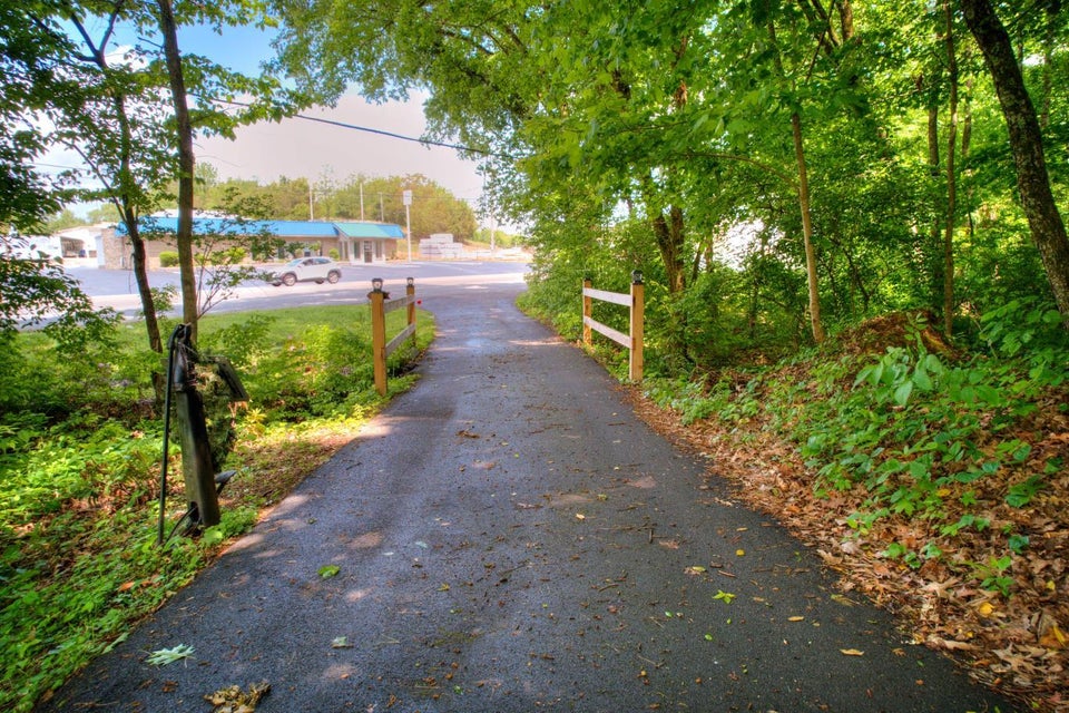 Photo #62: 1027 Summer Street