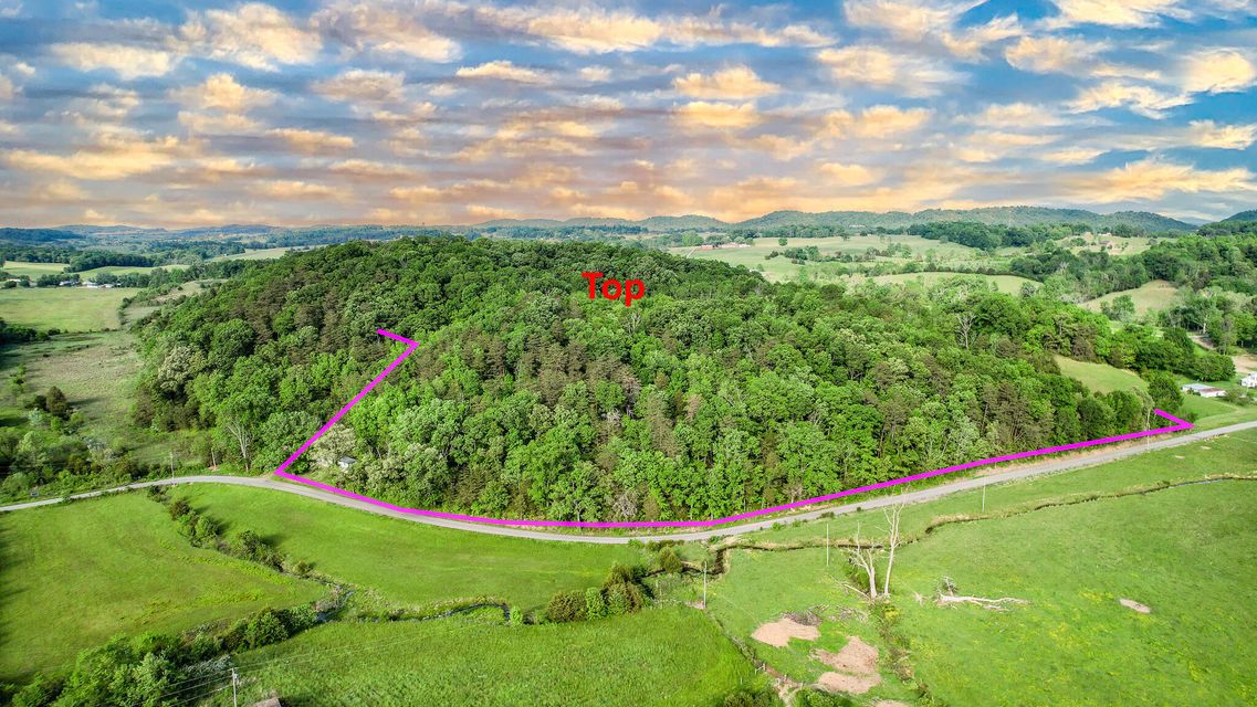 Photo #3: 4850 Afton Road