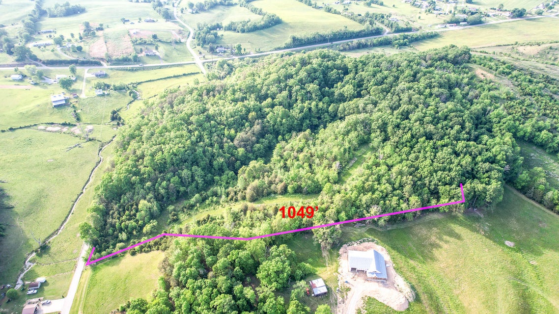 Photo #7: 4850 Afton Road