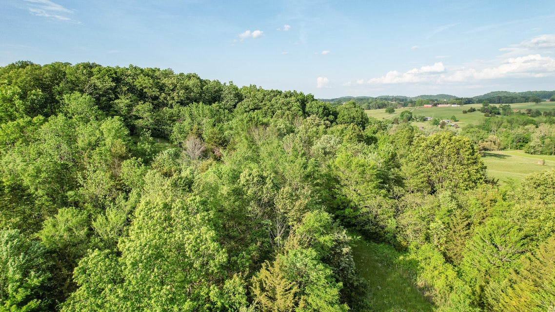 Photo #22: 4850 Afton Road