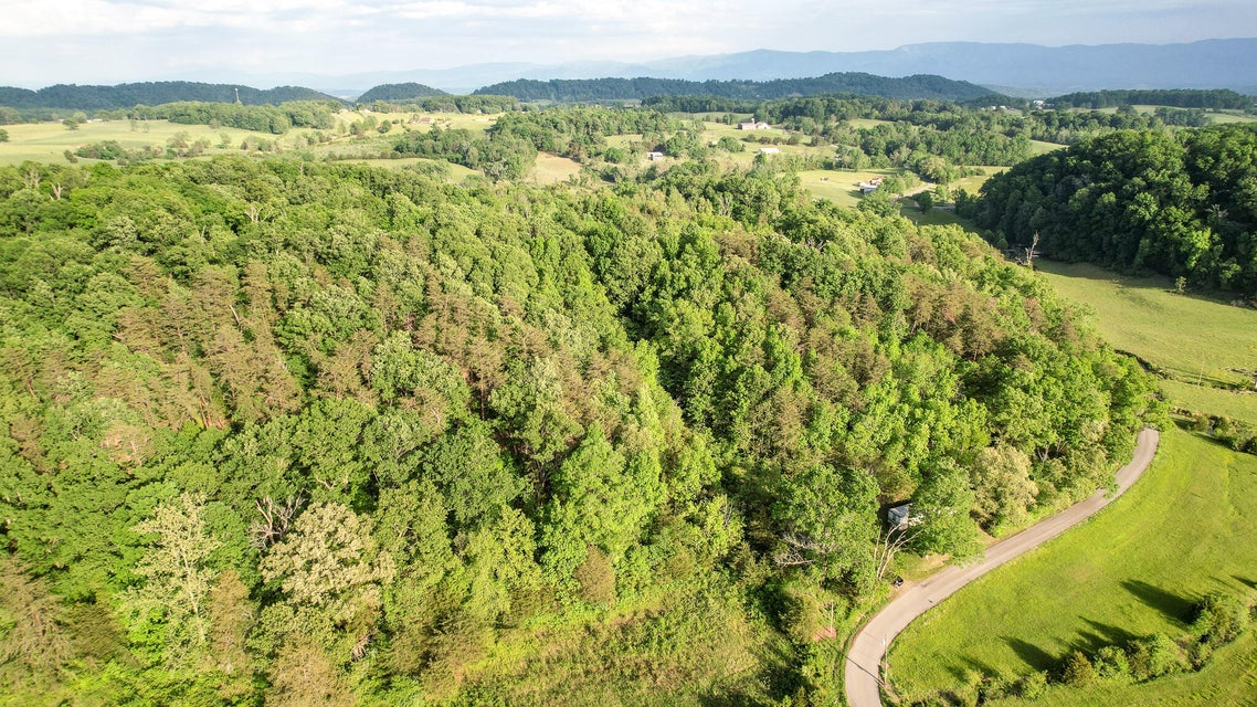 Photo #25: 4850 Afton Road